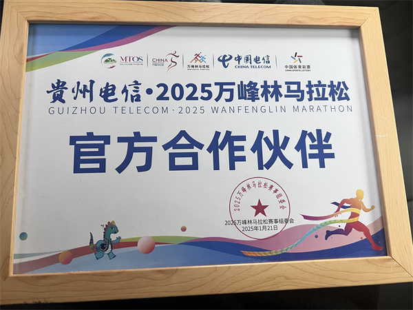 世界杯“险”中求:出境观赛的保险保障全攻略(图1)