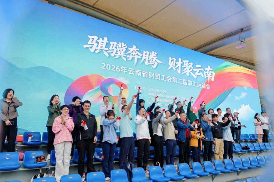 多险企涉足体育营销大打足球牌(图1)